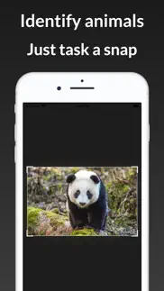 ianimal - animal identifier iphone screenshot 1
