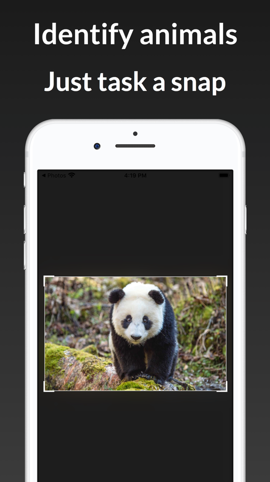 ianimal - animal Identifier - 1.1.0 - (iOS)