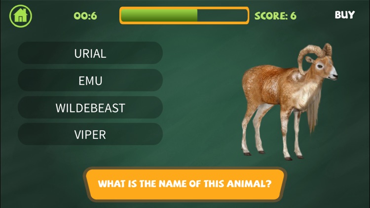 Animal Jam, Kids Learning Tube screenshot-5
