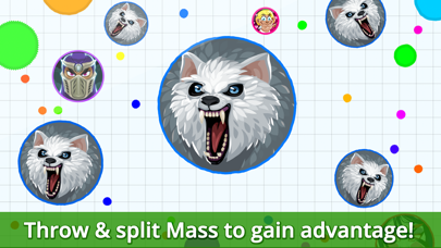 Screenshot from Agar.io
