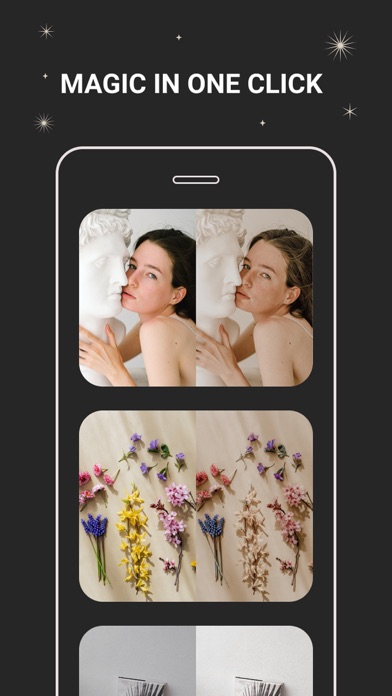 Presets Lightroom Mobile: Luna Screenshot