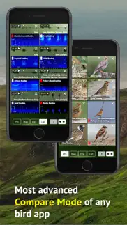 all birds scotland photo guide problems & solutions and troubleshooting guide - 1