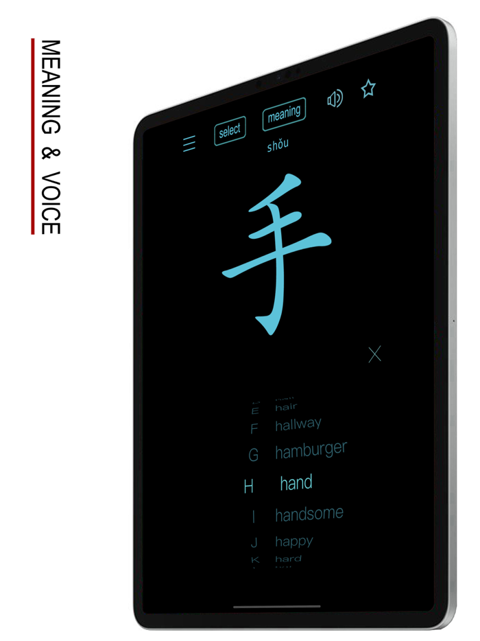 Chinese Words and Writing