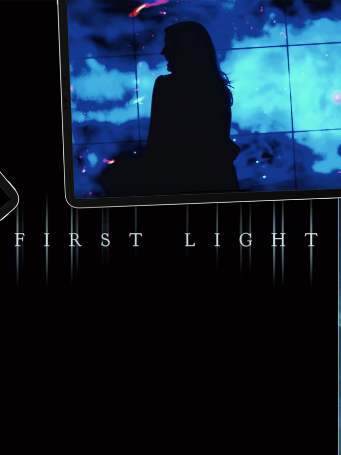 Chandra 20 Years and Beyond