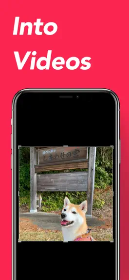 Game screenshot Photo to Video Maker apk