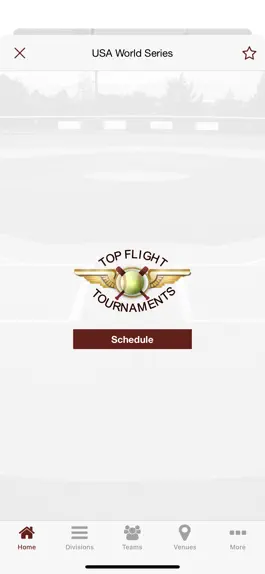 Game screenshot Top Flight Tournaments hack