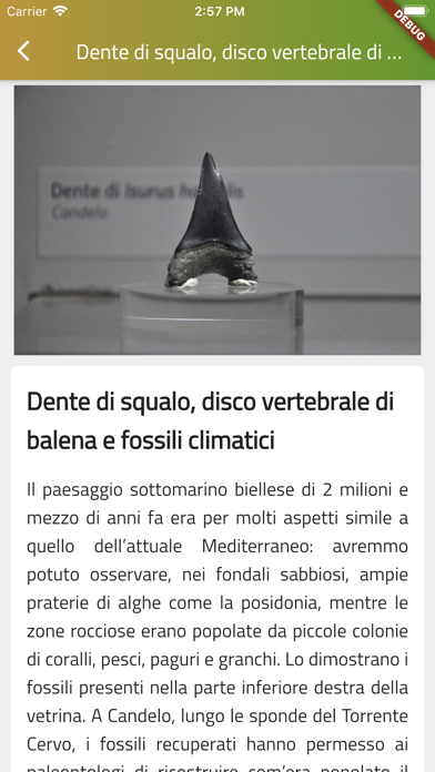 Smart Museum Biella Screenshot