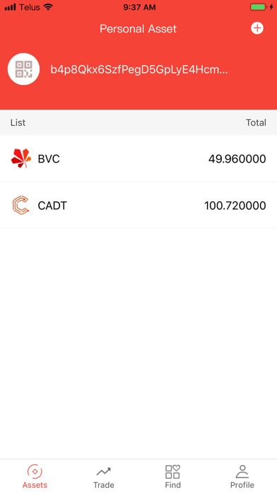 BvcPay Screenshot