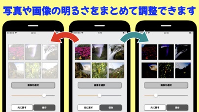 画像の明るさを一括調整-写真もまとめて明度を加工するのおすすめ画像1