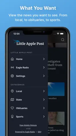Game screenshot Little Apple Post hack