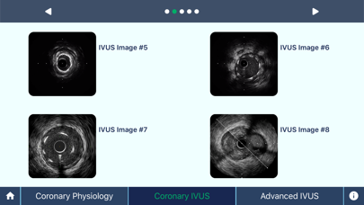 IVUS + Physiology Pro Screenshot