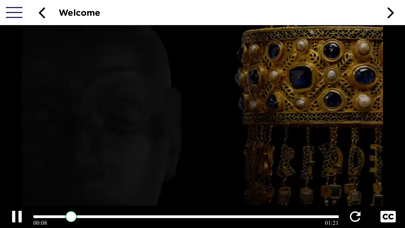 Museo Arqueológico Nacional Screenshot
