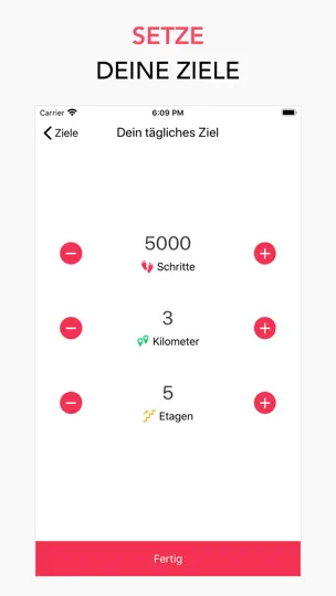 Screenshot von Schrittzähler DoSteps auf dem iPhone 3