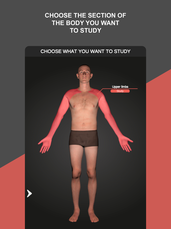 RX - Radiographic Positioning