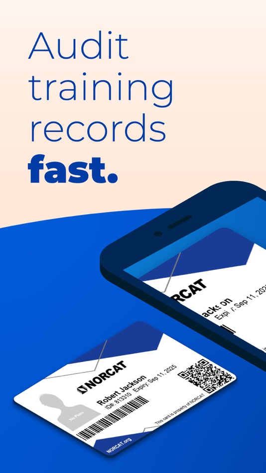 #1. Spot Audit (iOS) 由: NORCAT
