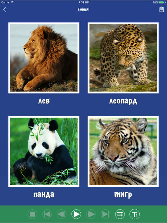 Screenshot #5 pour Russie Mots Flashcards