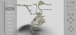 Game screenshot 3D Bird Anatomy hack