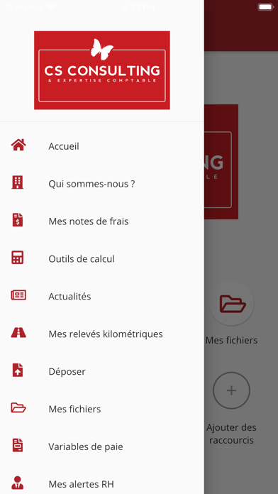 Screenshot #2 pour CS CONSULTING