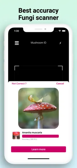 Game screenshot Mushroom Identifier - Fungi Id hack