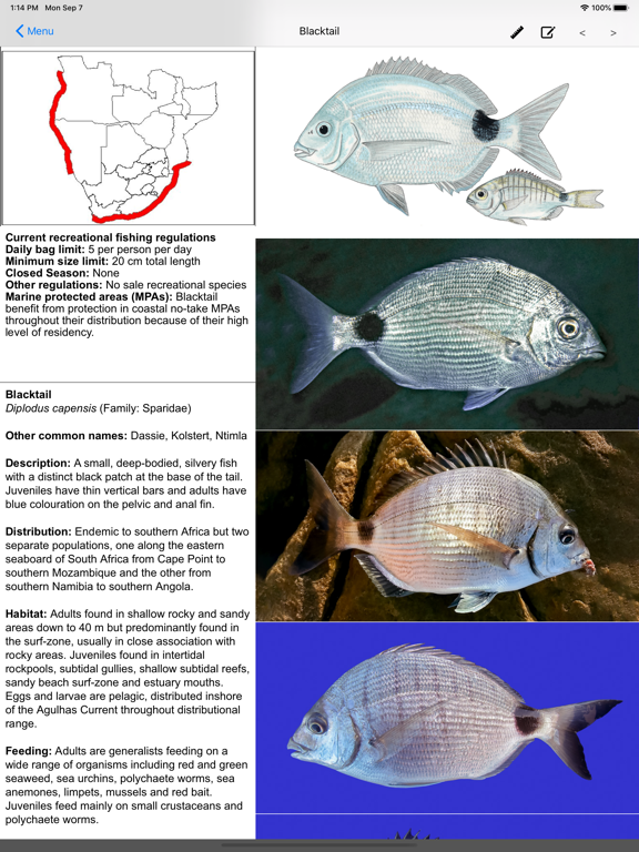 Screenshot #4 pour Marine Fish Guide