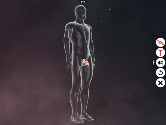 Screenshot #5 pour Human Reproductive System