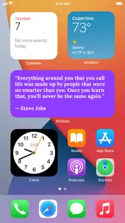 stickies - sticky notes widget iphone screenshot 3