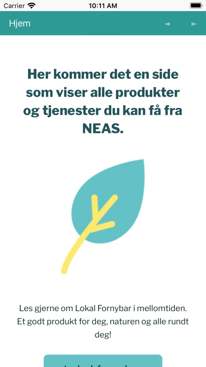 Mitt-NEAS