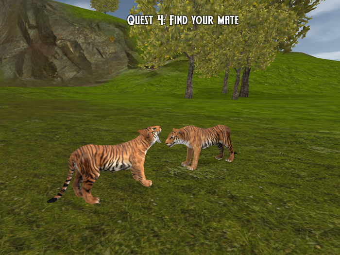 Tigers of the Forest