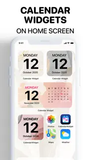 calendar widget for iphone iphone screenshot 1