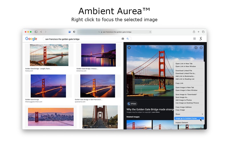Screenshot #2 pour Ambient Aurea for Safari
