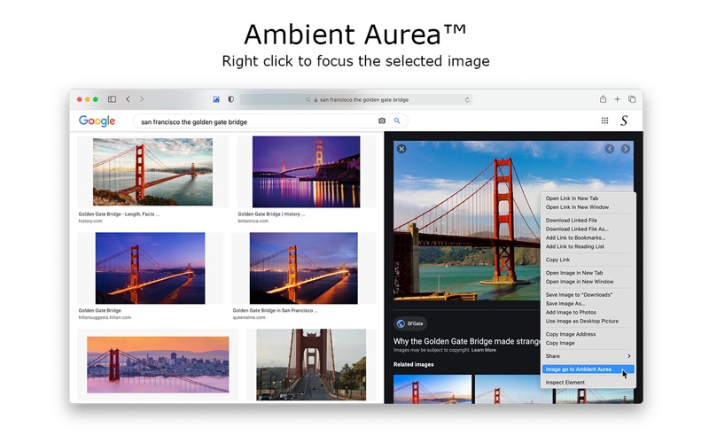 How to cancel & delete ambient aurea for safari 3