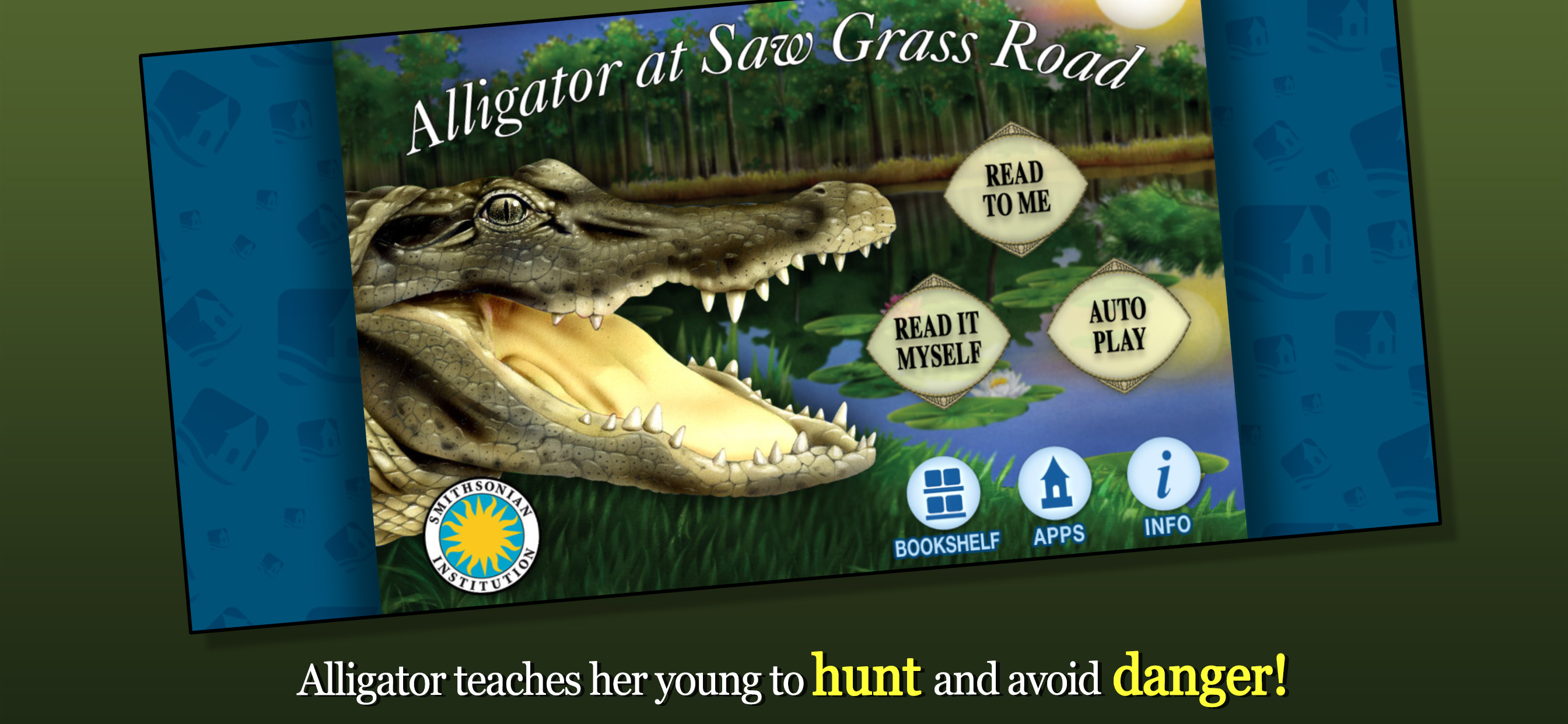 Alligator at Saw Grass Road