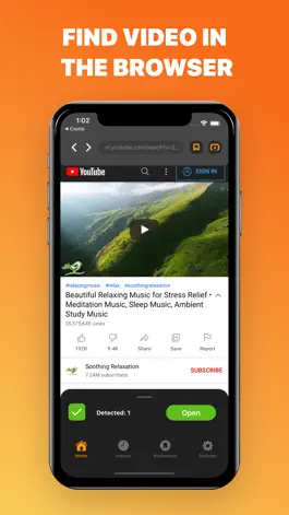 Game screenshot Web Video Caster: Fire TV Cast hack