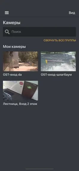 Game screenshot DataLine Видеонаблюдение apk