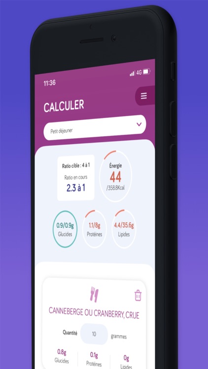 CétoChef screenshot-3