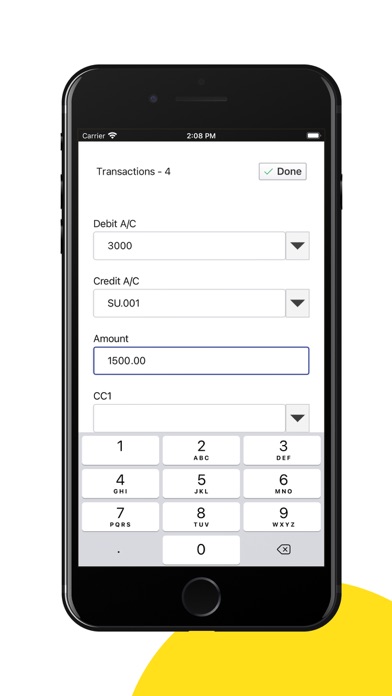Banana Accounting Mobile Screenshot