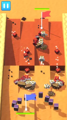 Game screenshot Battle For The Flag hack