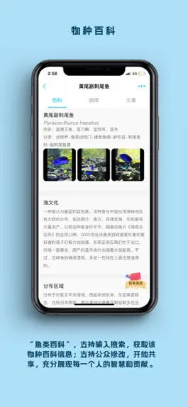 Game screenshot 看鱼 hack