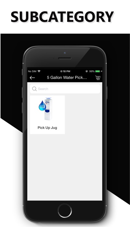 Montauk Spring Water