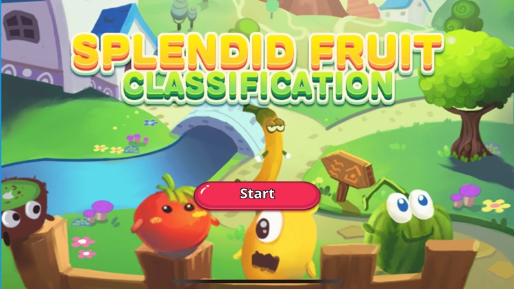 Splendid Fruit Classification