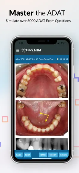 Game screenshot ADAT Advanced Dental Admission apk