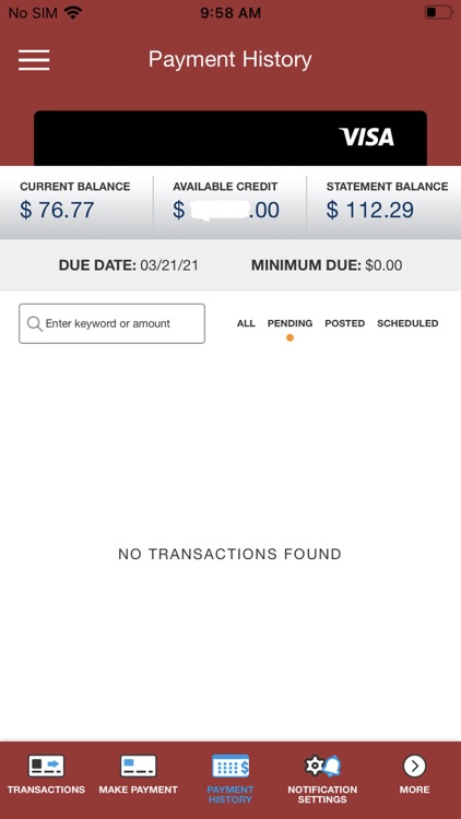 Panhandle Credit Card Manager screenshot-4