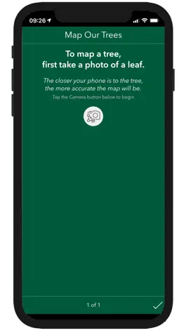 Game screenshot Map Our Trees apk