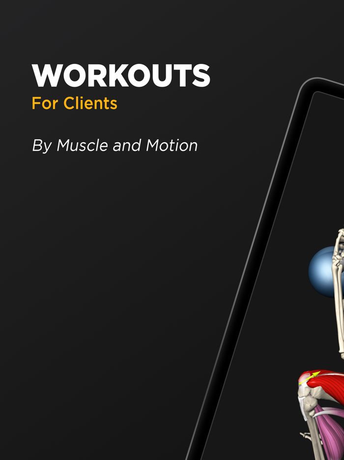 WORKOUTS by Muscle and Motion