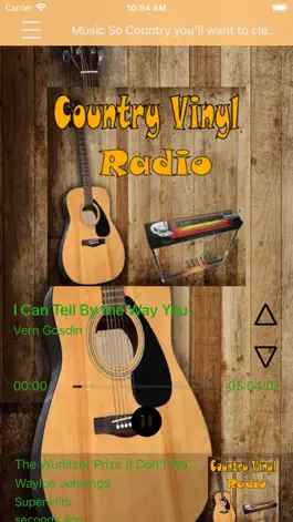 Game screenshot Country Vinyl Radio mod apk