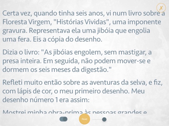 Screenshot #6 pour O Prinzipezinho - Audiolivro