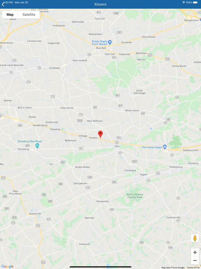 Ridgewood Puppies II