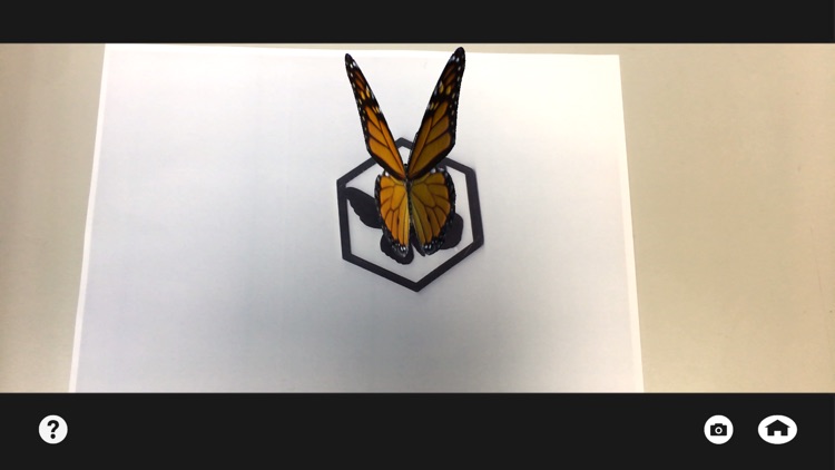 The Insect World AR screenshot-4