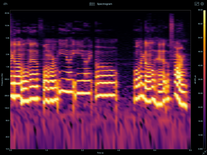 SignalScope Basic 2020