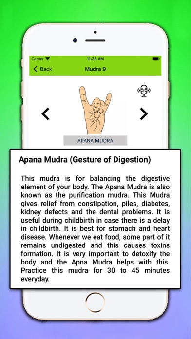 Yoga Posture & Surya Namaskar Screenshot